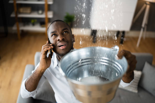 Best Ceiling water damage repair  in Rion Center, MA