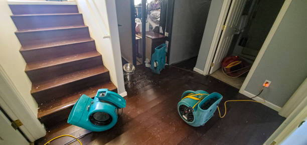 Best Water damage restoration near me  in Rion Center, MA