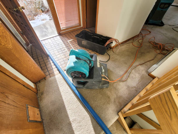 Best Water damage cleanup near me  in Rion Center, MA