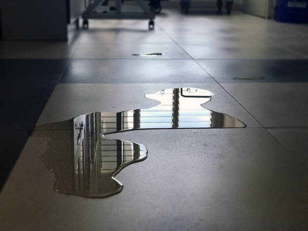 Best Water damage cleanup near me  in Rion Center, MA