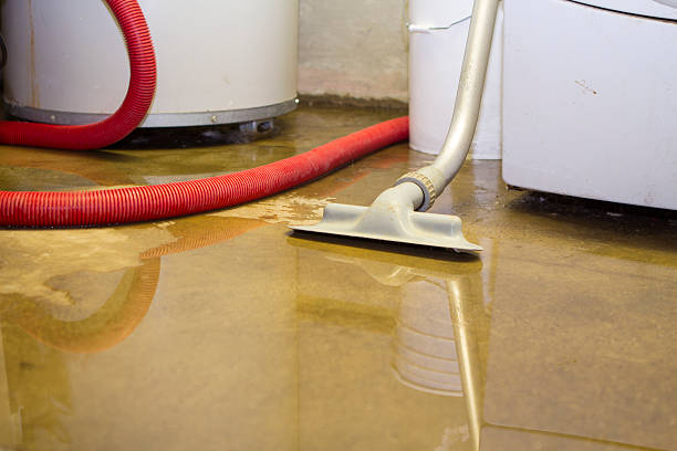 Best Emergency water damage restoration  in Rion Center, MA